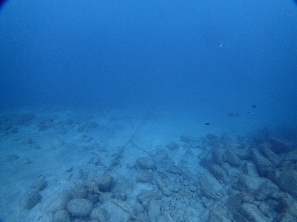 抜群の透明度｜井田｜西伊豆｜2025/10/22｜ダイビングプロショップパル