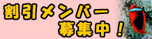 割引メンバー募集中！