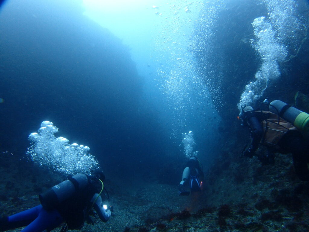 V字谷｜西川名｜ダイビングプロショップ パル｜2025/10/05