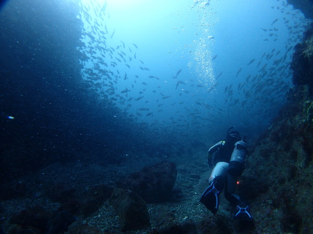 V字谷｜西川名｜ダイビングプロショップ パル｜2025/10/05