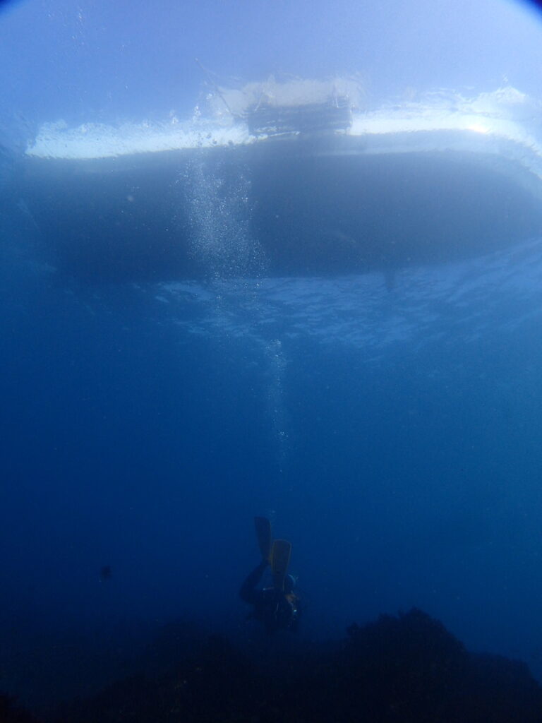 西川名｜ダイビングプロショップ パル｜2025/10/05