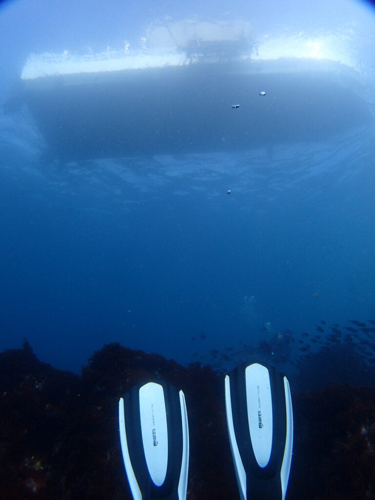 西川名｜ダイビングプロショップ パル｜2025/10/05