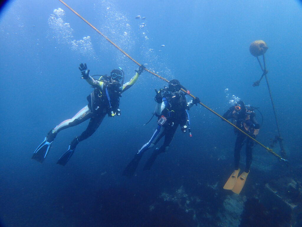 西川名｜ダイビングプロショップ パル｜2025/10/05