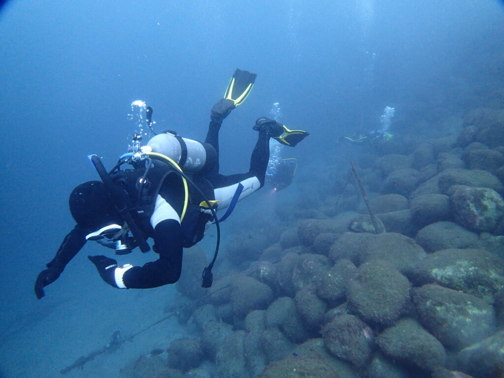 井田 西伊豆｜ダイビングプロショップ パル｜2025/10/12