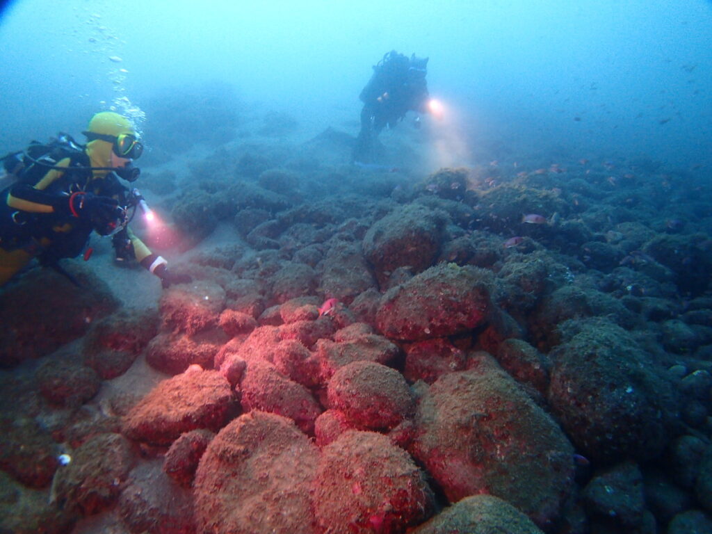 ｜井田 西伊豆｜ダイビングプロショップ パル｜2025/10/12