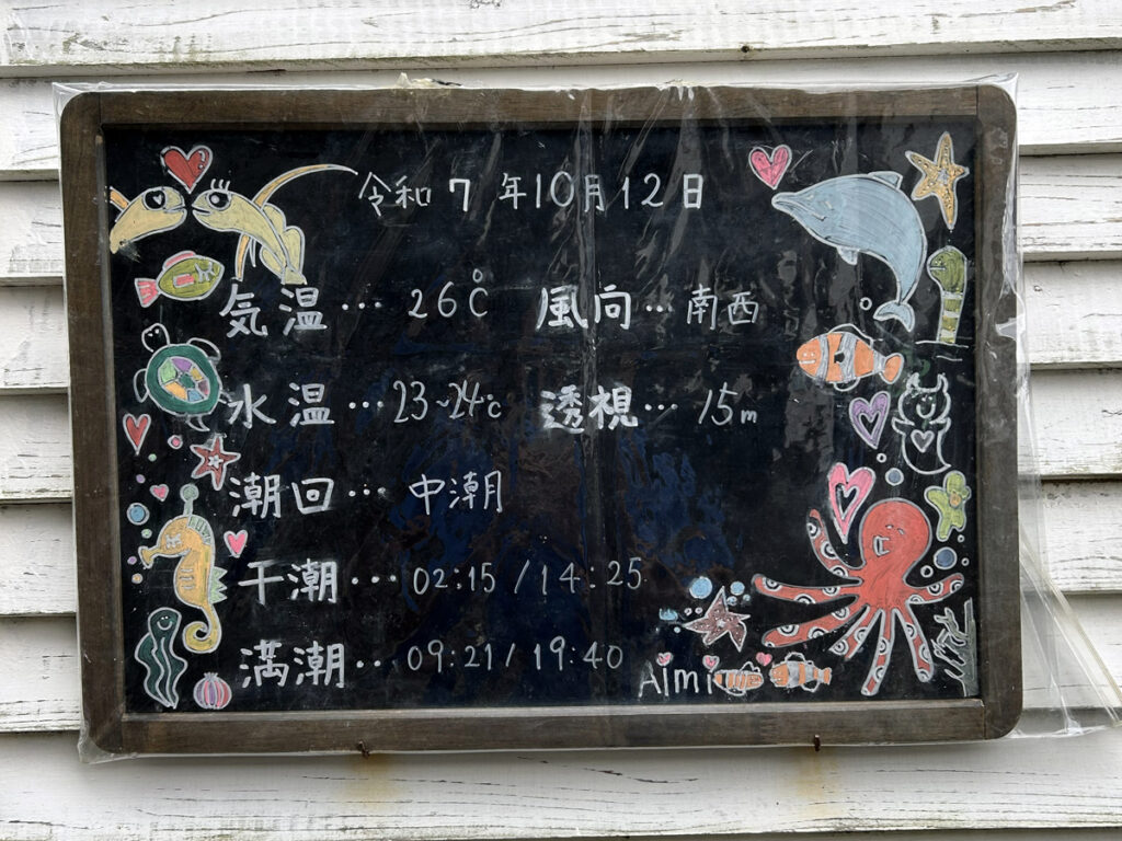 井田 西伊豆｜ダイビングプロショップ パル｜2025/10/12