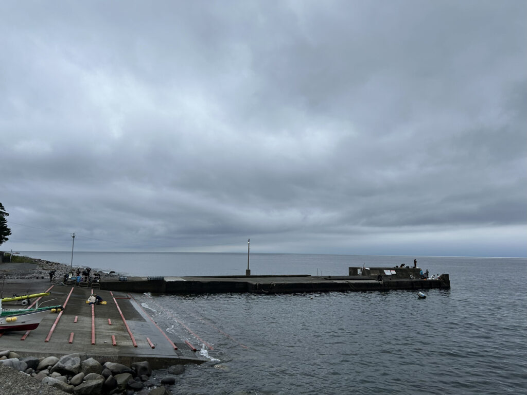 井田 西伊豆｜ダイビングプロショップ パル｜2025/10/12