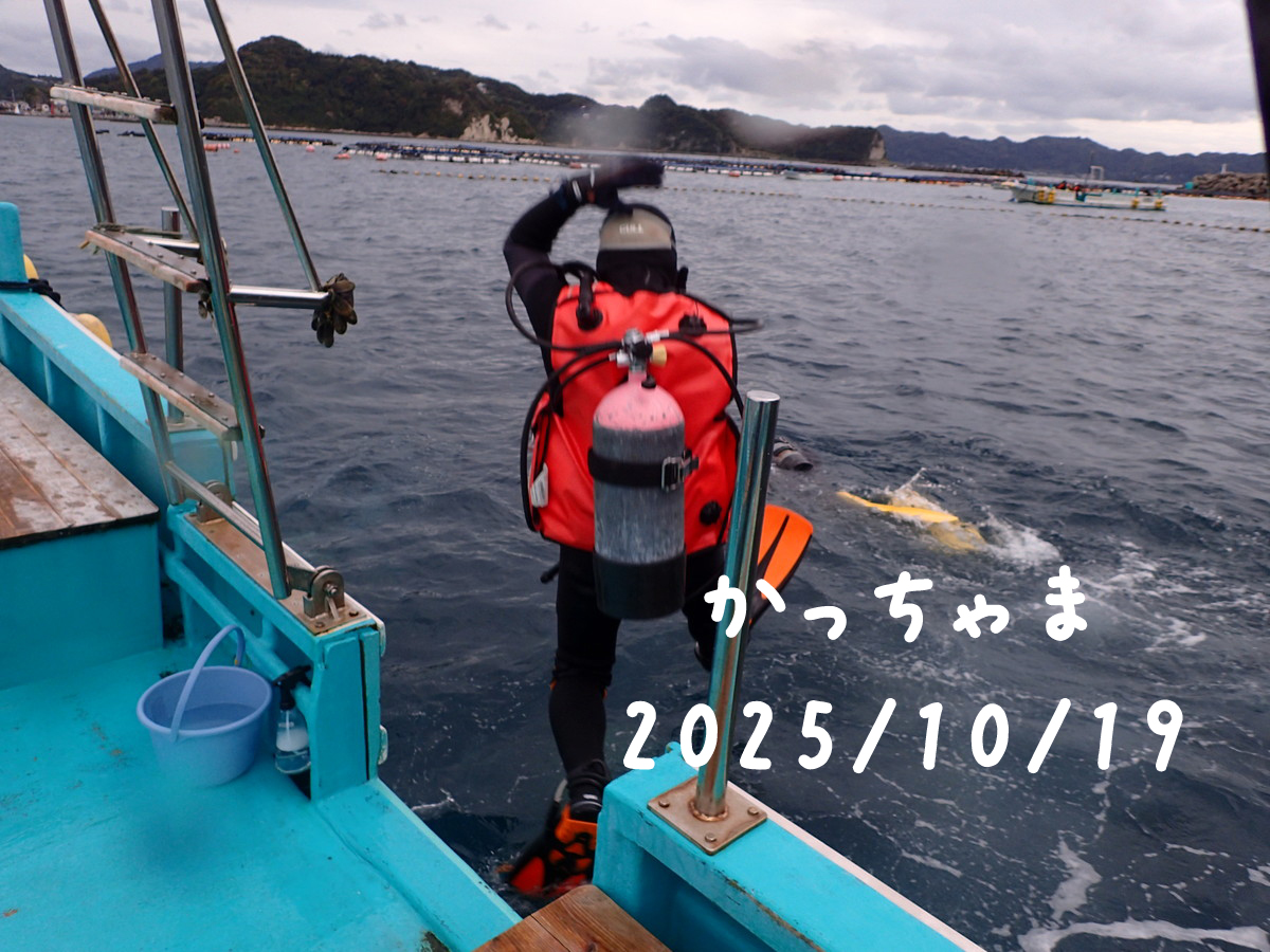 かっちゃま（房総）｜2025/10/19