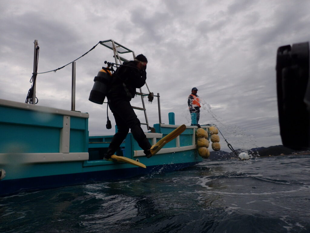 エントリー｜かっちゃま（房総）｜2025/10/19