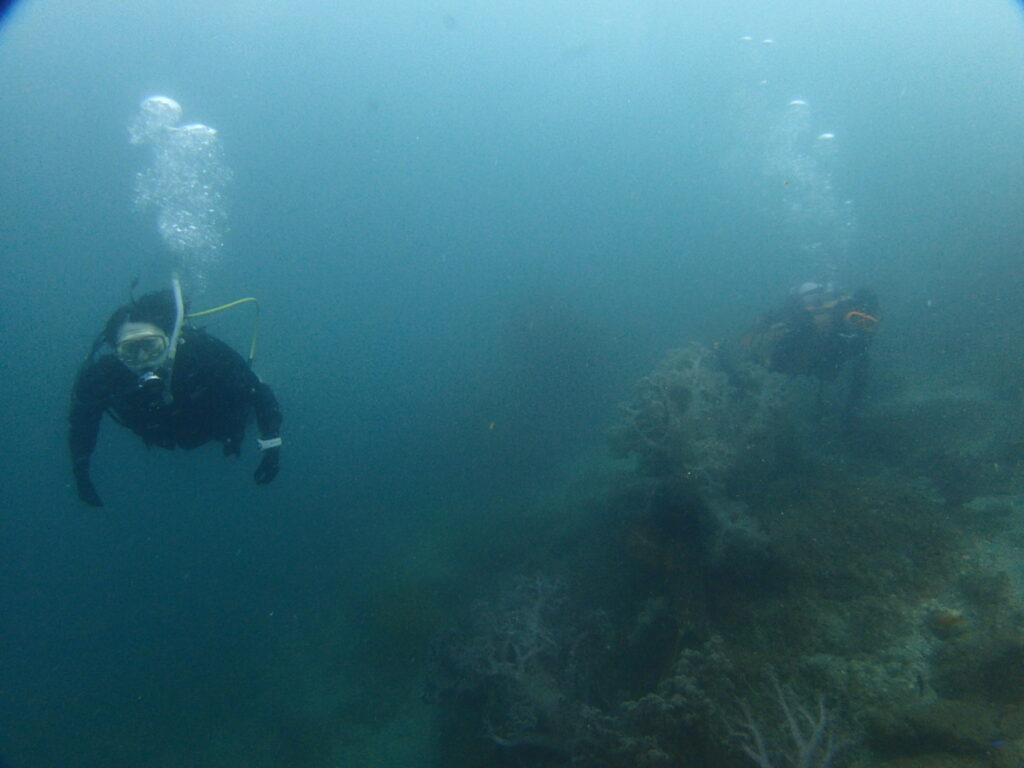 かっちゃま（房総）｜ノースエンド｜2025/10/19