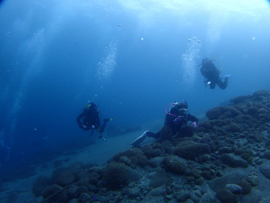 井田（西伊豆）｜2025/10/25