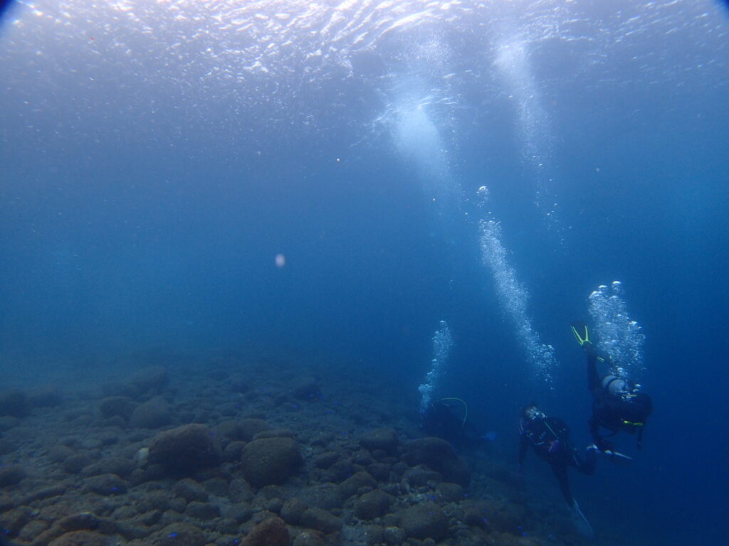 ｜井田（西伊豆）｜2025/10/25