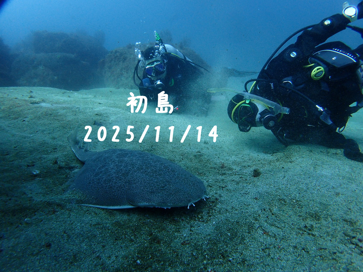 初島（東伊豆）｜2025/11/14