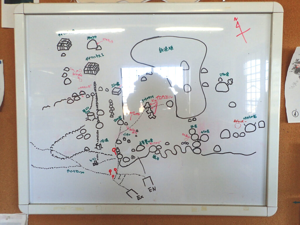 初島でダイビング｜ダイビングプロショップ パル｜2025/11/15　