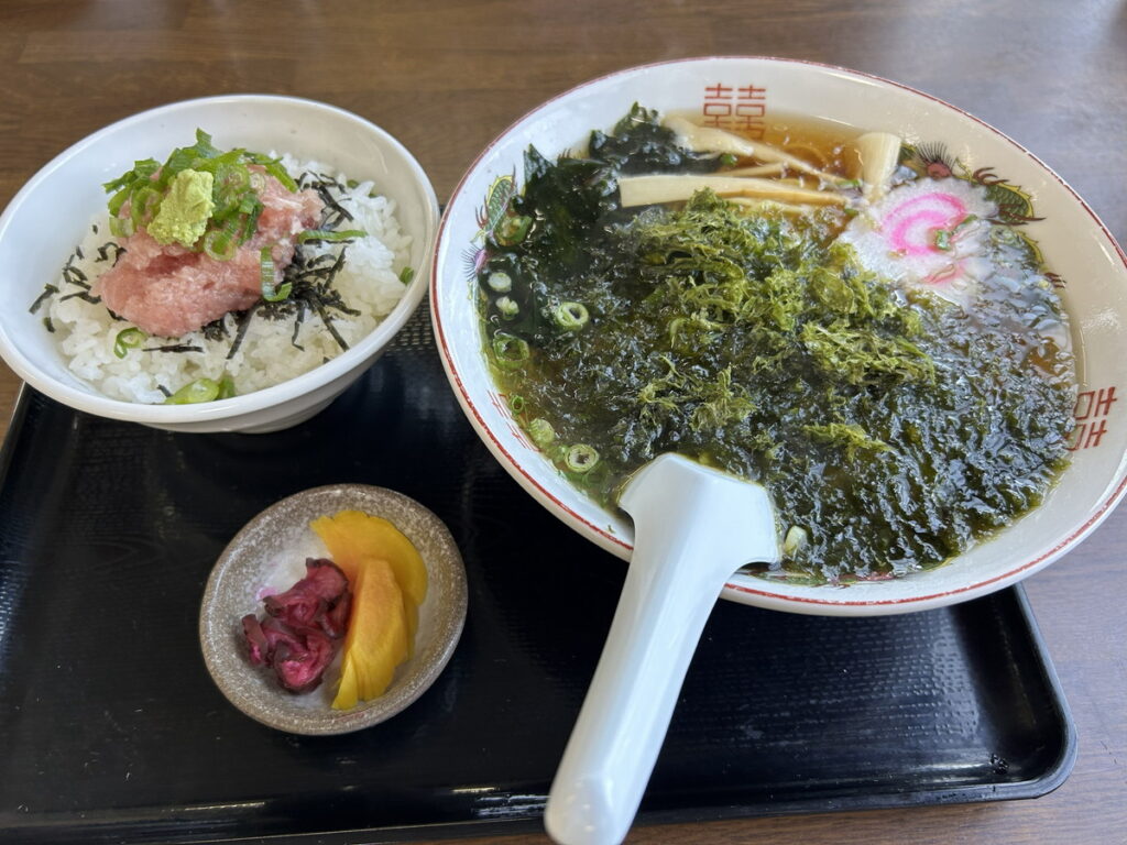 初島でダイビング｜ダイビングプロショップ パル｜2025/11/15　