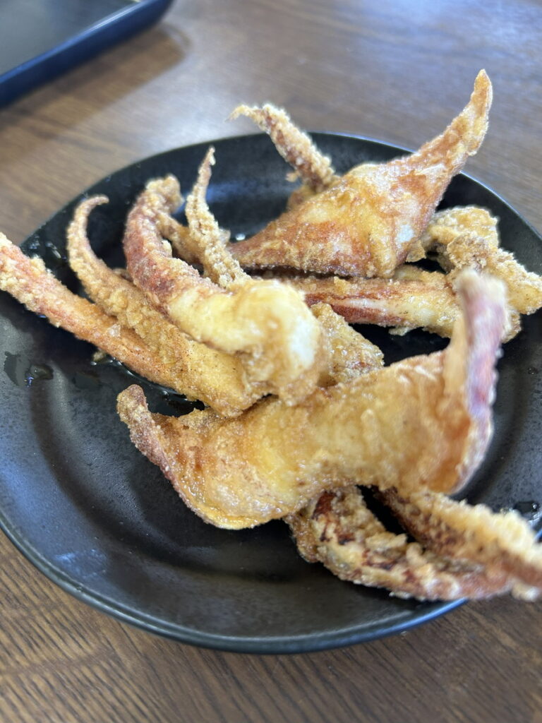 初島でダイビング｜ダイビングプロショップ パル｜2025/11/15　