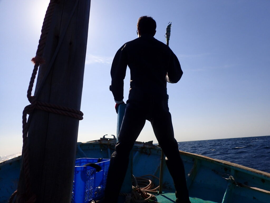 房総 勝浦でダイビング｜ダイビングプロショップ パル｜2025/11/15