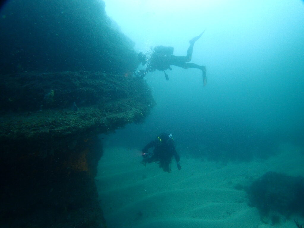 房総 勝浦でダイビング｜ダイビングプロショップ パル｜2025/11/15