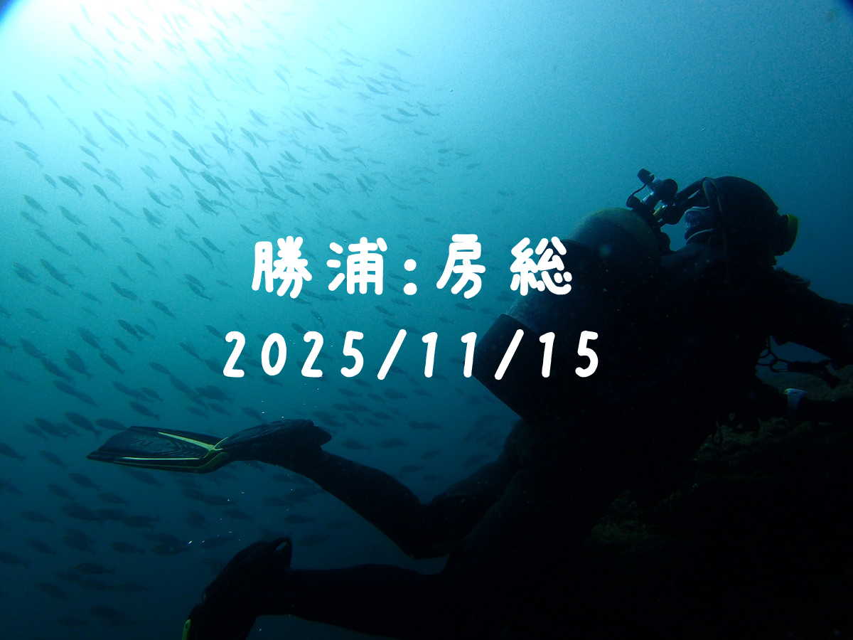 勝浦（房総）｜2025/11/15