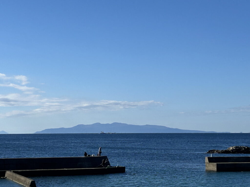 伊豆大島｜西川名でダイビング｜2025/11/22｜ダイビングプロショップ パル｜東京　江戸川区