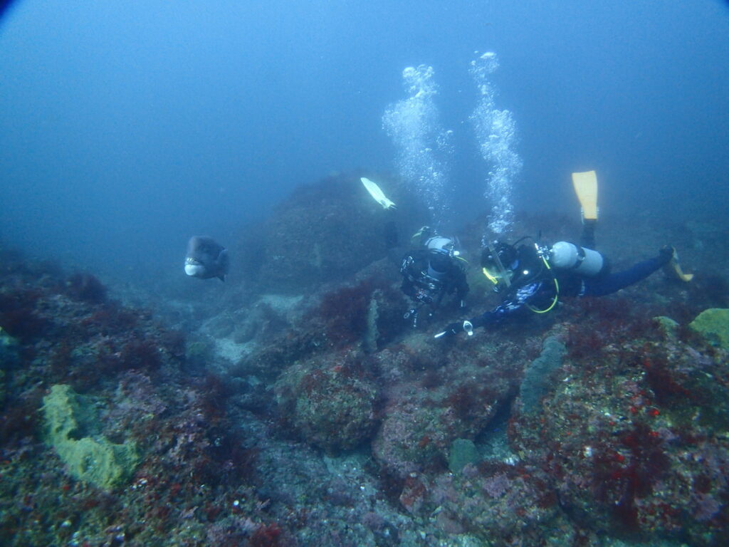 西川名でダイビング｜2025/11/22｜ダイビングプロショップ パル｜東京　江戸川区