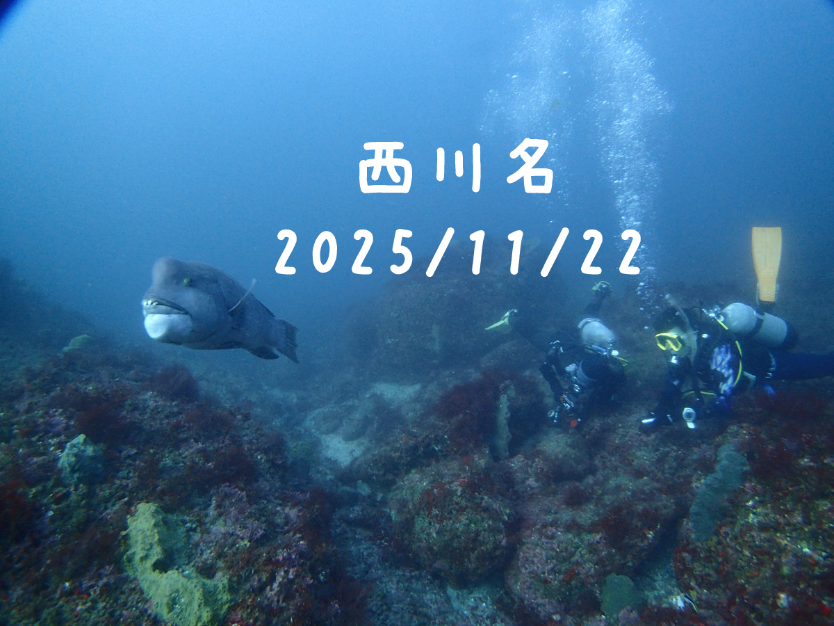 西川名（房総）｜2025/11/22