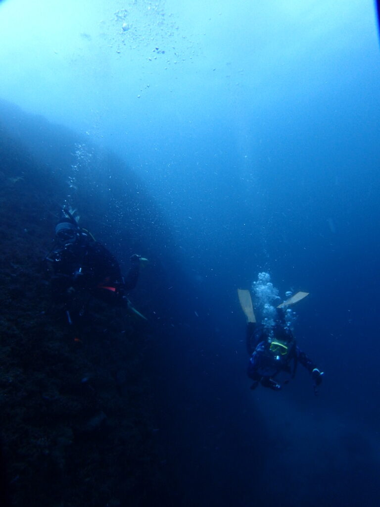 西川名でダイビング｜2025/11/22｜ダイビングプロショップ パル｜東京　江戸川区
