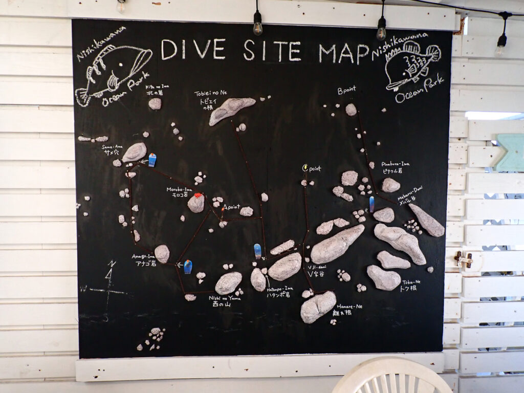 西川名でダイビング｜2025/11/22｜ダイビングプロショップ パル｜東京　江戸川区