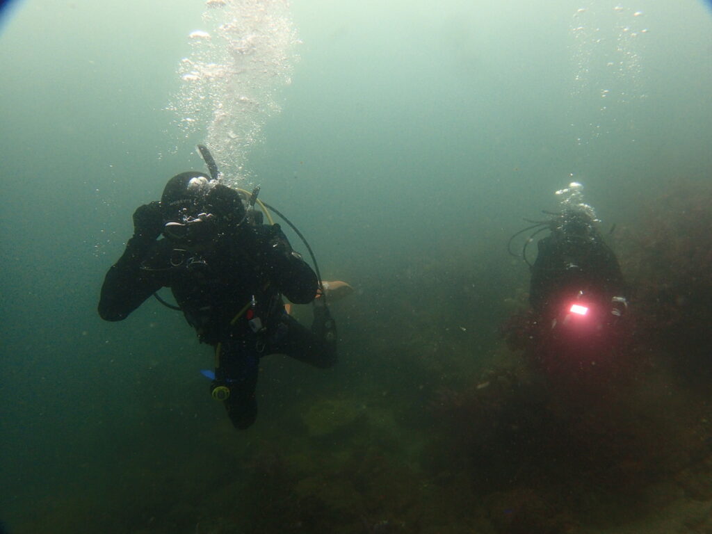 かっちゃでダイビング｜ダイビングプロショップパル｜2025/09/27