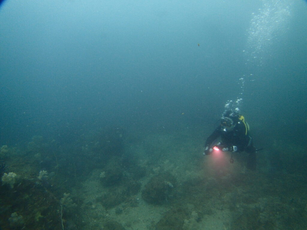 かっちゃでダイビング｜ダイビングプロショップパル｜2025/09/27