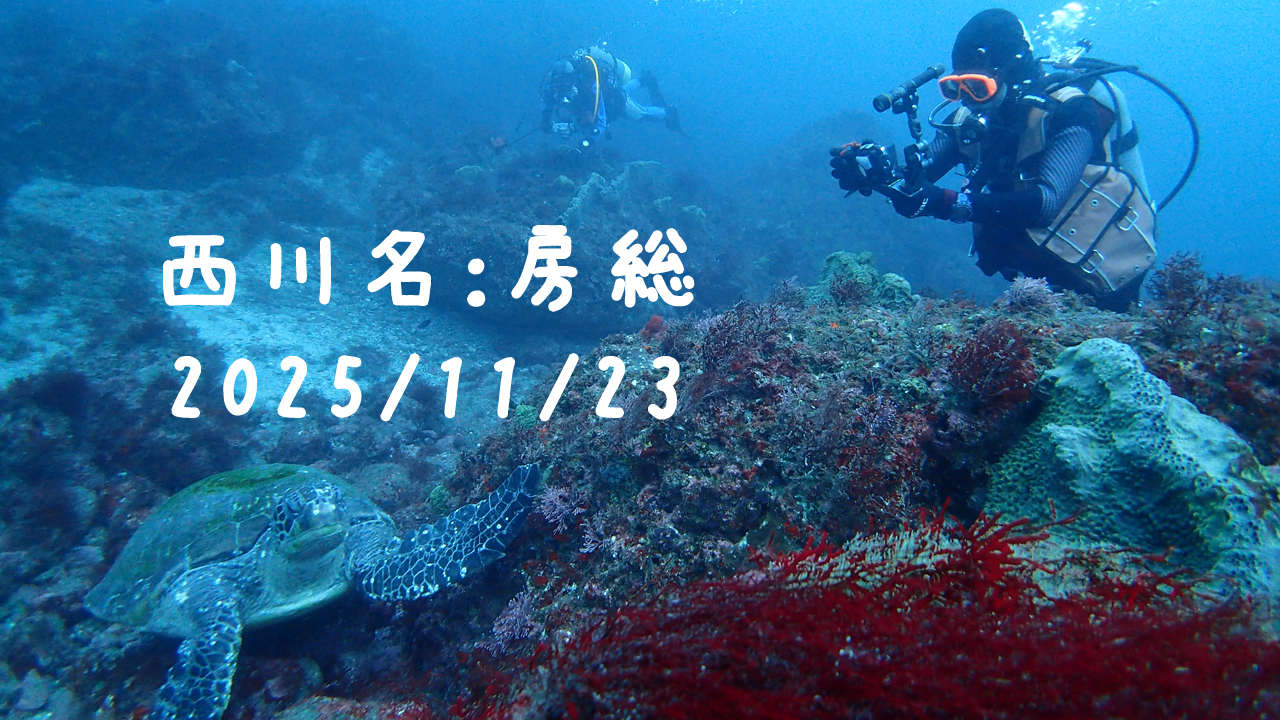 西川名（房総）｜2025/11/23