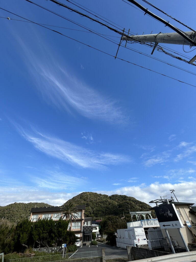 西川名でダイビング（房総）｜ダイビングプロショップパル｜2025/11/23