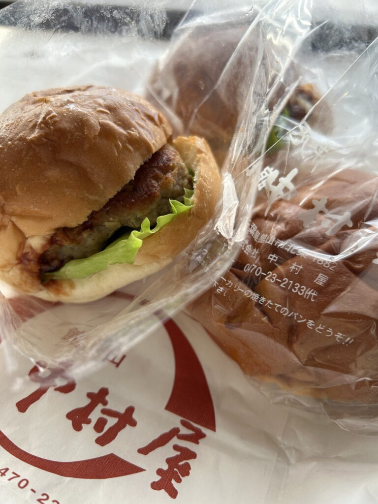 西川名でダイビング（房総）｜ダイビングプロショップパル｜2025/11/23