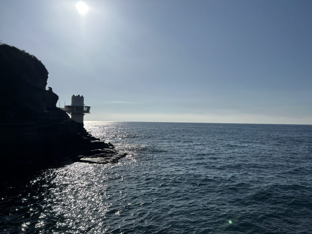 勝浦 志村ビーチ｜アドバンスコース｜2025/11/24｜ダイビングプロショップ パル