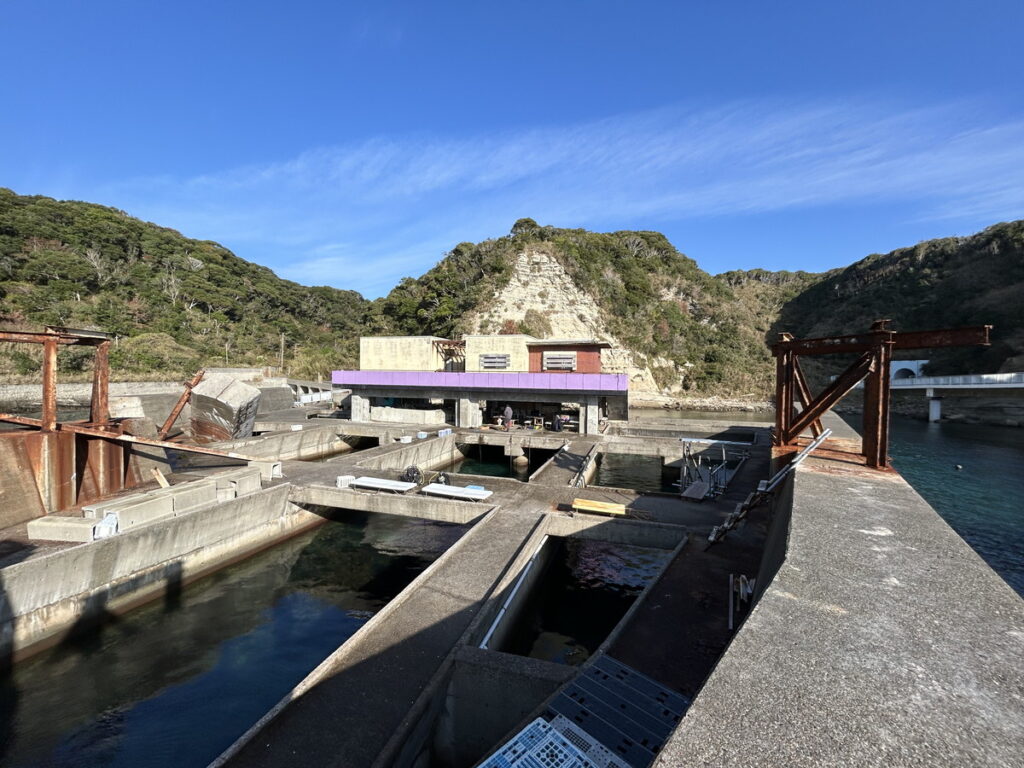 勝浦 志村ビーチ｜アドバンスコース｜2025/11/24｜ダイビングプロショップ パル