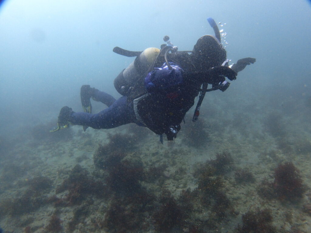 勝浦 志村ビーチ｜アドバンスコース｜2025/11/24｜ダイビングプロショップ パル