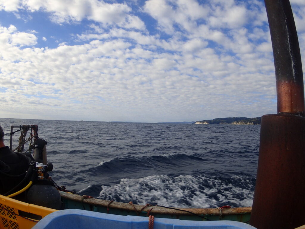 勝浦（房総）ウマノセ｜ダイビング｜ダイビングプロショップパル｜2025/11/29