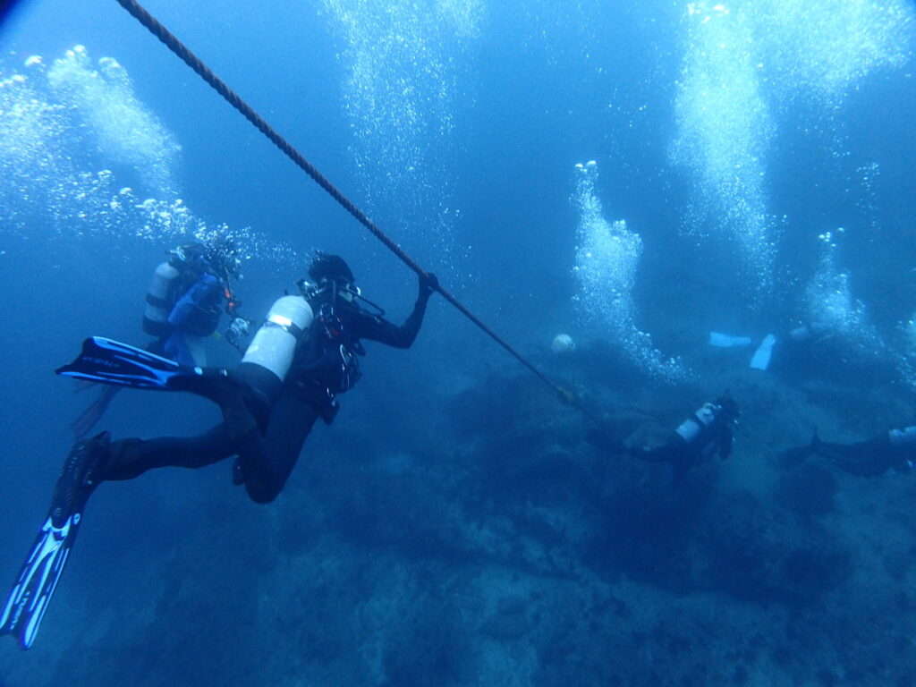 ｜西川名（房総）でダイビング｜ダイビングプロショップ パル｜2025/12/13