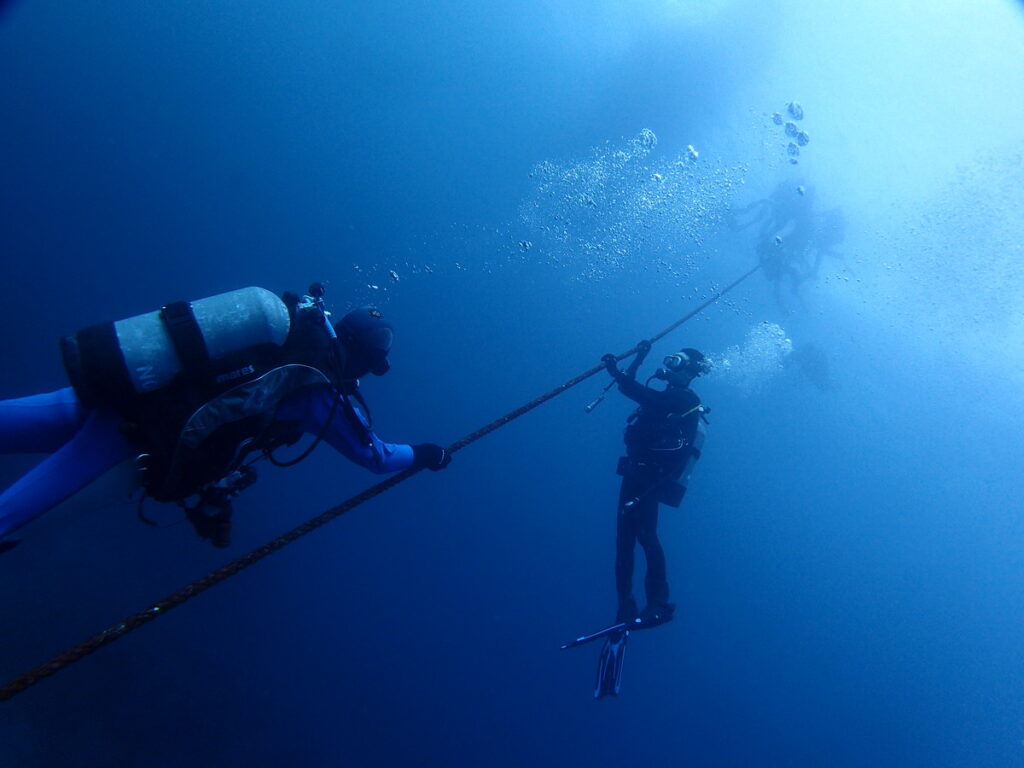 ｜西川名（房総）でダイビング｜ダイビングプロショップ パル｜2025/12/13