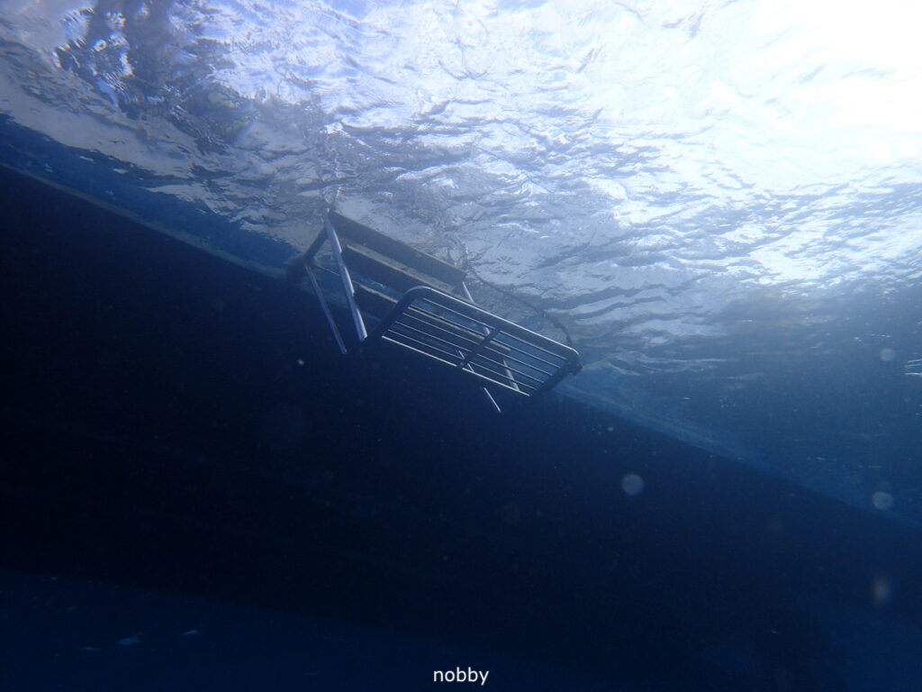 かっちゃま（房総）｜ダイビングプロショップ パル｜2025/12/06