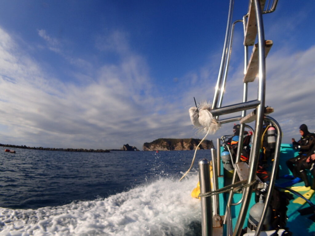 かっちゃま（房総）｜ダイビングプロショップ パル｜2025/12/06