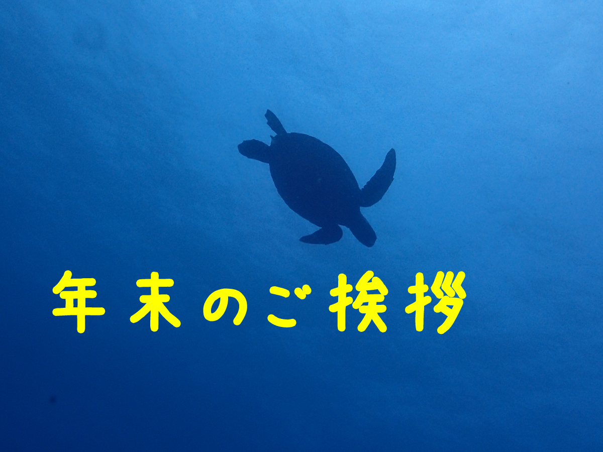 2025年末のご挨拶🐋