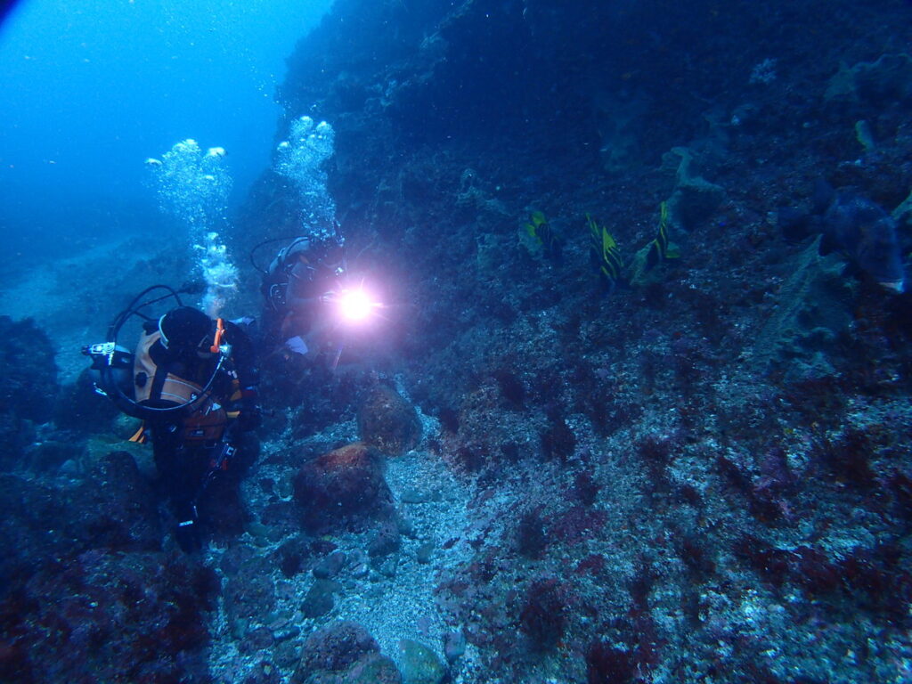 ｜西川名（房総）でダイビング｜ダイビングプロショップ パル｜2025/12/27