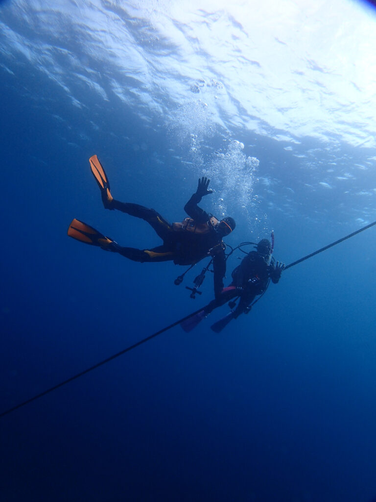 ｜西川名（房総）でダイビング｜ダイビングプロショップ パル｜2025/12/27