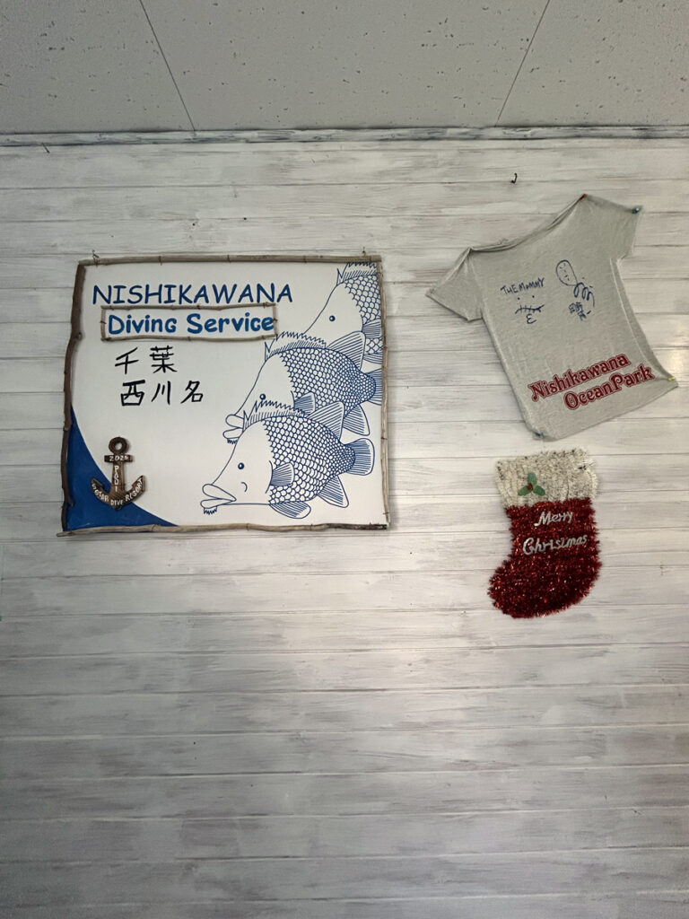 ｜西川名（房総）でダイビング｜ダイビングプロショップ パル｜2025/12/27