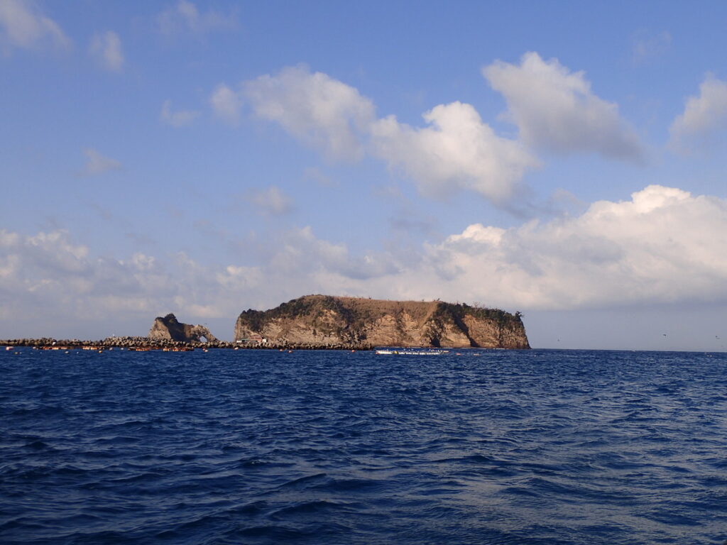 浮島｜かっちゃま（房総）｜ダイビングプロショップ パル｜2026/02/15