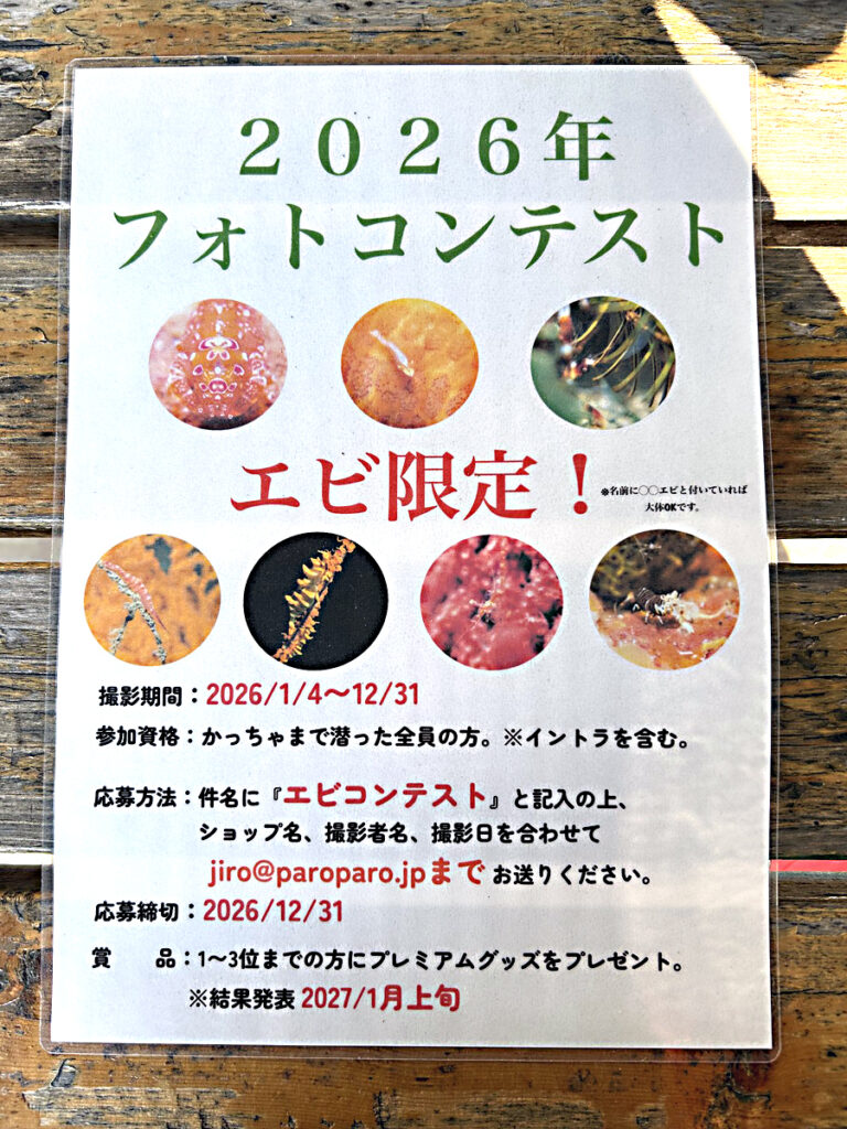 かっちゃま（房総）｜ダイビングプロショップ パル｜2026/01/25