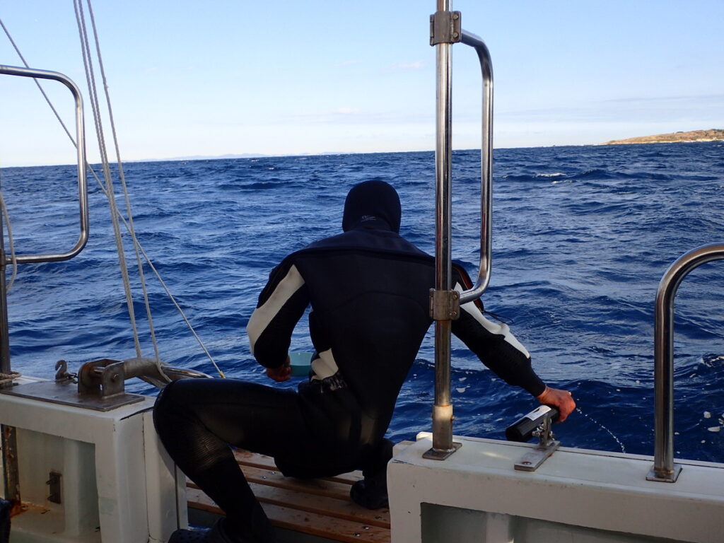 お神酒｜西川名（房総）でダイビング｜ダイビングプロショップ パル｜2026/01/01