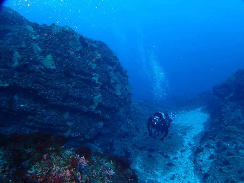 西川名（房総）でダイビング｜ダイビングプロショップ パル｜2026/01/01