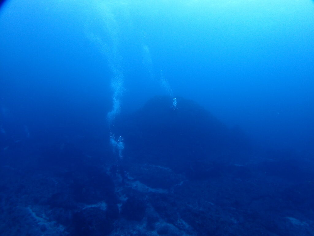 抜群の透明度｜西川名（房総）でダイビング｜ダイビングプロショップ パル｜